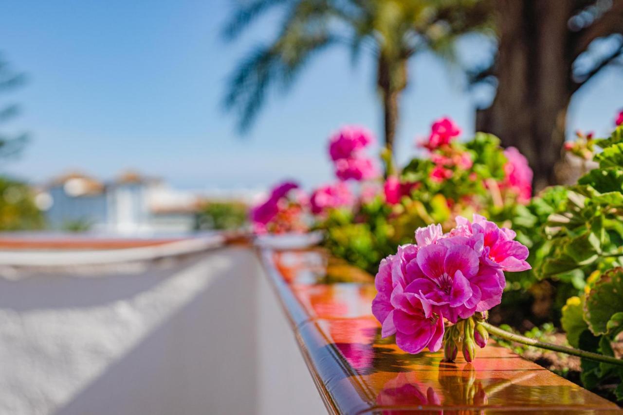 Lirios Village Marbella Eksteriør billede